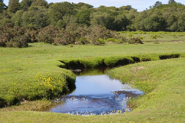 Des sensibilisations aux immersions en milieu naturel pour les acteurs de Brest et de Lesneven Côte des Légendes