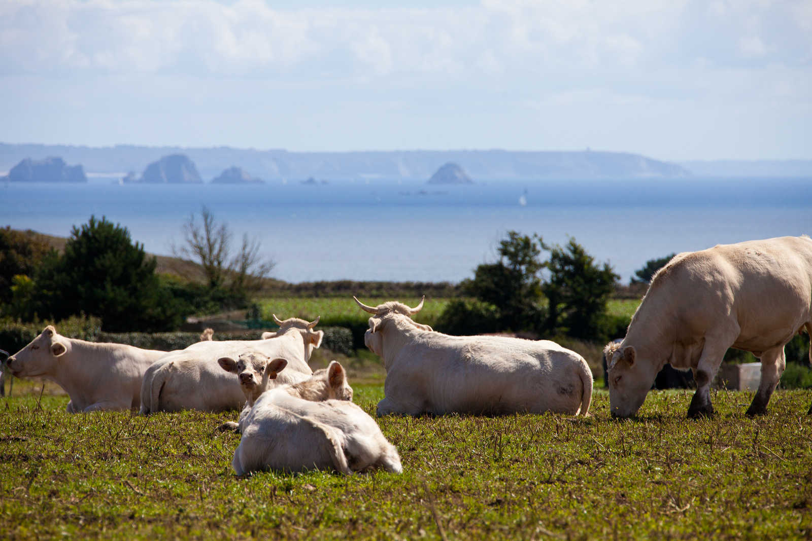 Vocation agricole et agroalimentaire