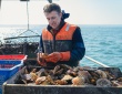 Stratégie DLAL FEAMP : soutien aux filières pêche et aquaculture